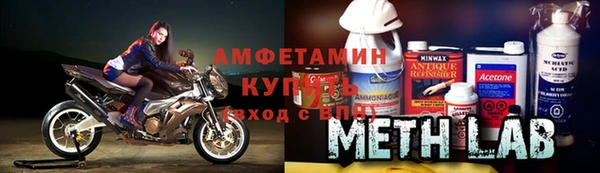 молекула духа Бородино