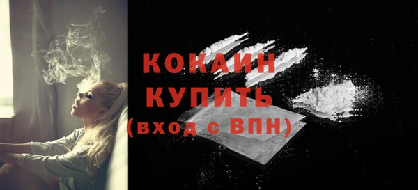 молекула духа Бородино