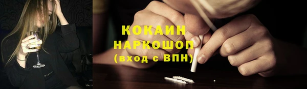молекула духа Бородино