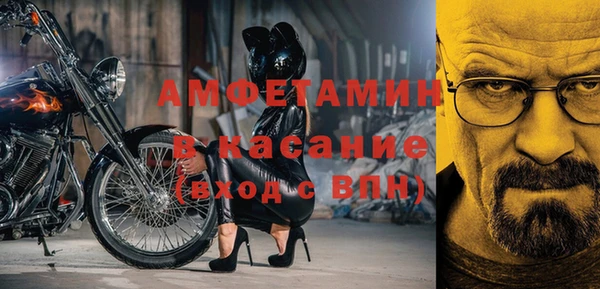 молекула духа Бородино