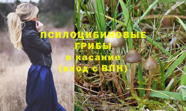 молекула духа Бородино
