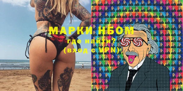 молекула духа Бородино