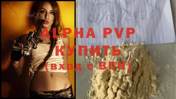 молекула духа Бородино