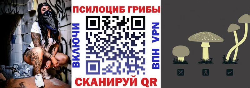 Псилоцибиновые грибы ЛСД Верея